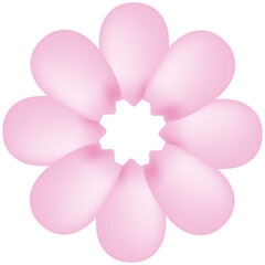 pink flower isolated on white