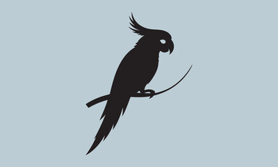 vector illustration of a bird