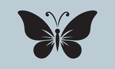 butterfly on a white background