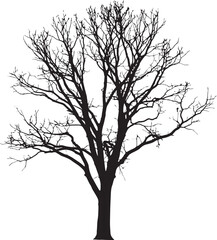 Obraz premium Premium vector illustration. Tree silhouette vector in white background. 