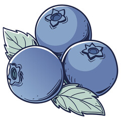Blueberry Cluster with Leaves Vector Design