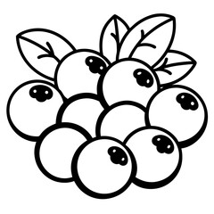 Black and White Blueberry Bunch with Leaves Vector
