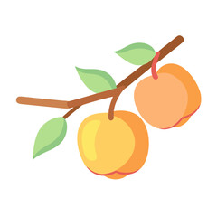 Peach Fruit Vector Illustration on Branch