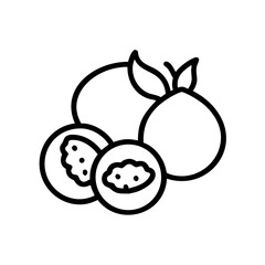 Fig Fruit Line Art Vector Icon