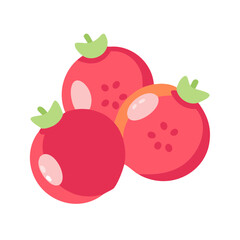 Flat Style Pomegranate Fruit Vector Illustration