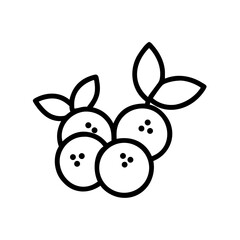 Blueberry Line Art Vector Icon