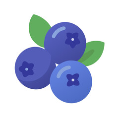 Flat Blueberry Fruit Vector