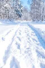 Fototapeta premium Snow-covered path through a winter forest on a sunny day
