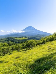 Lush green meadow with majestic mountain in background under a clear blue sky