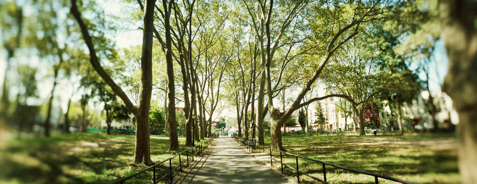Panoramic walkway passing through park, McGolick Park, Greenpoint, Brooklyn, New York City, New York State, USA.