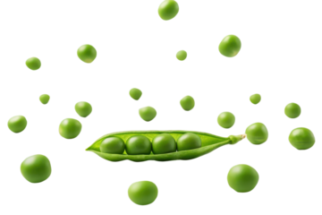 A vibrant green pea pod containing several peas, with additional peas scattered around, showcasing freshness and natural appeal.