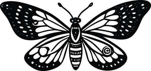 black butterfly isolated on white