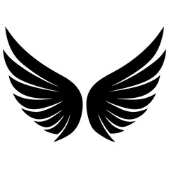 wings vector illustration