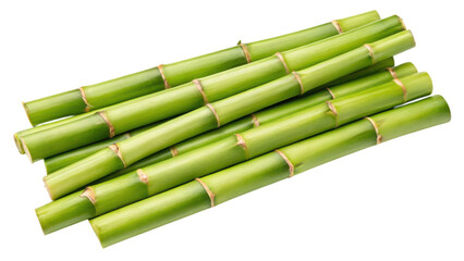 Fototapeta premium A bundle of green bamboo sticks, showcasing their smooth texture and segmented structure.