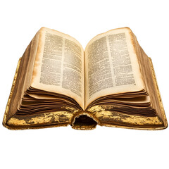 Obraz premium Antique Book Open Gold Gilt Edges Old Pages History