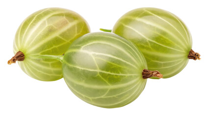 Three green gooseberries with distinct ribbed skins and small stems.