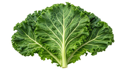 Fresh, vibrant kale leaves with intricate textures and deep green color, showcasing the vegetable's natural beauty and health benefits.