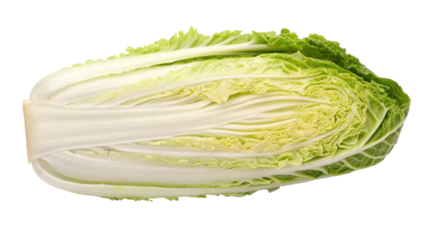 A crisp, fresh head of napa cabbage, showcasing its layered leaves and vibrant green edges.
