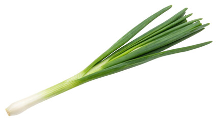 A fresh green onion with long, slender leaves and a white bulb, commonly used in culinary dishes for flavor and garnish.