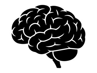 Clean Vector Brain Illustration for Mind Themes