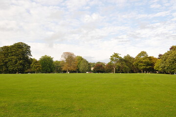 Large grass lawn and leafy trees in a city park