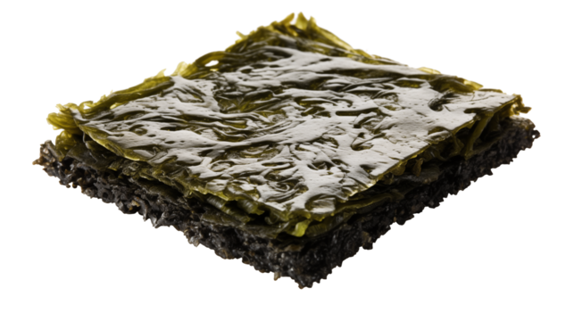 Close up studio shot of a stack of dried seaweed on a black background isolated on transparent background	