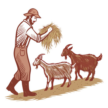 farmer feeding goats brown field clip art preview
