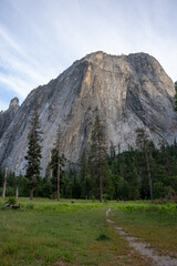 Yosemite National Park in the summer