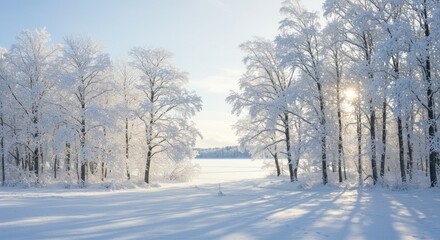 Obraz premium Winter Wonderland Photo