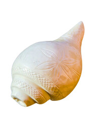 Carved White Conch Shell (Shankh) Isolated on Black Background – Traditional Hindu Puja Item for Spiritual and Cultural Use