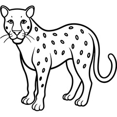 Elegant Jaguar Outline Illustration