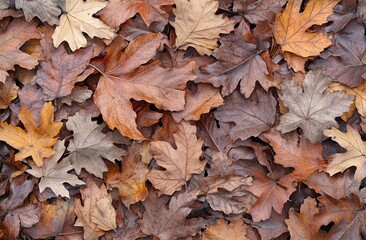 Obraz premium The atmosphere of autumn on the street is prevalent, with a warm autumn ambiance also being present on the street