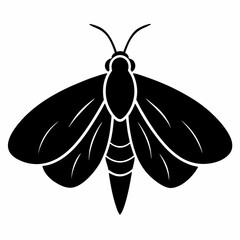 Elegant Moth Silhouette in Black Vector