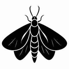 Elegant Moth Silhouette in Black Vector