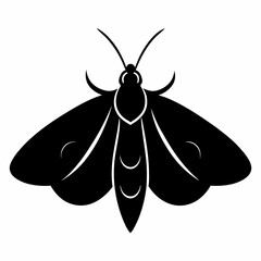 Elegant Moth Silhouette in Black Vector