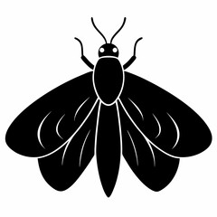 Elegant Moth Silhouette in Black Vector