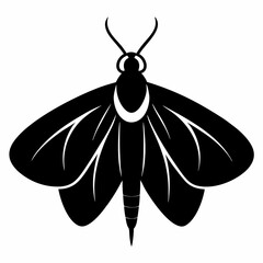 Elegant Moth Silhouette in Black Vector