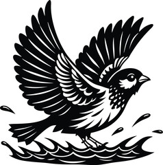 Sparrow Landing Water Splash Graphic Art