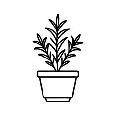 Solid black, dark background, minimalist simplicity