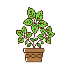 Basil Plant in Pot Icon, Fresh Green Herbs