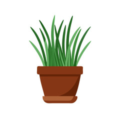 Green grass in brown pot isolated on black background