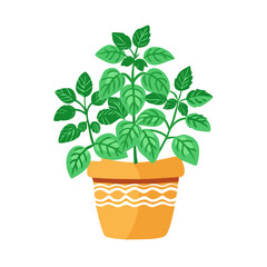 Obraz premium Potted Basil Plant Illustration on a Black Background