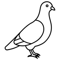 Graceful Pigeon Line Drawing
