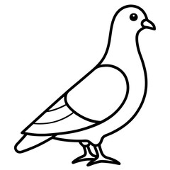 Graceful Pigeon Line Drawing