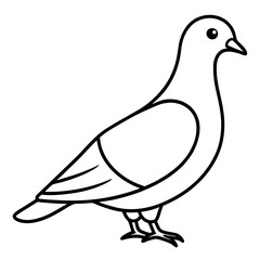 Graceful Pigeon Line Drawing