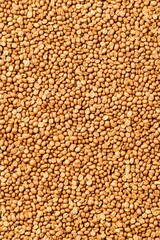 Fototapeta premium Roasted Coffee Beans Background Texture