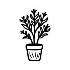 Solid Black Background, Simple Dark Texture, High Contrast