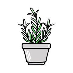 Potted Plant Herb Illustration on Black Background