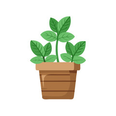 Obraz premium Potted Plant with Green Leaves on Black Background
