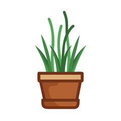 Green plant in pot on black background illustration